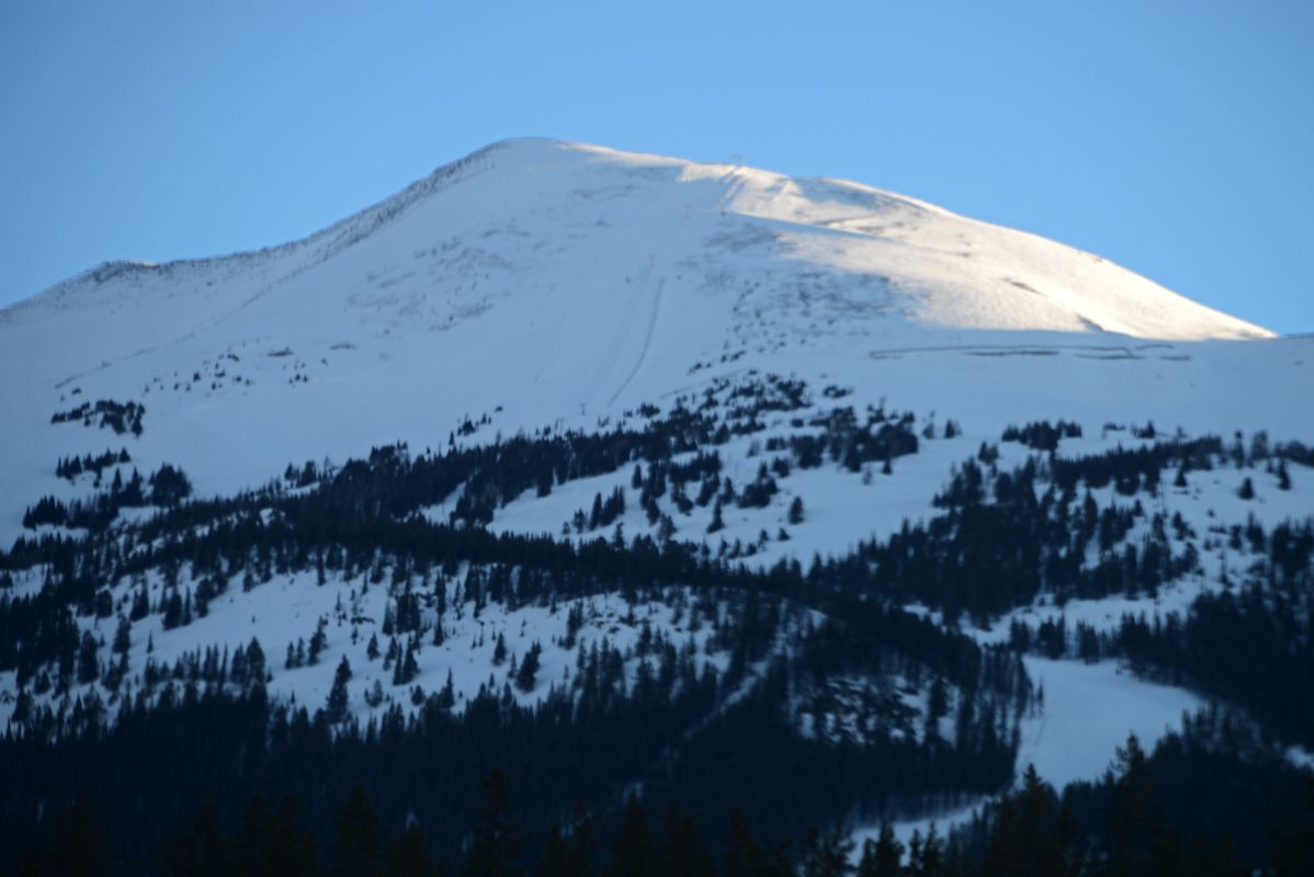 20C Whitehorn Mountain Early Morning From Trans Canada Highway Just Before Lake Louise on Drive From Banff in Winter